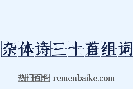 杂体诗三十首组词是什么意思的图片